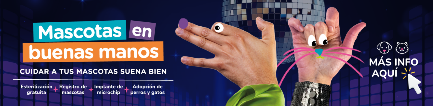 Mascotas en Buenas manos