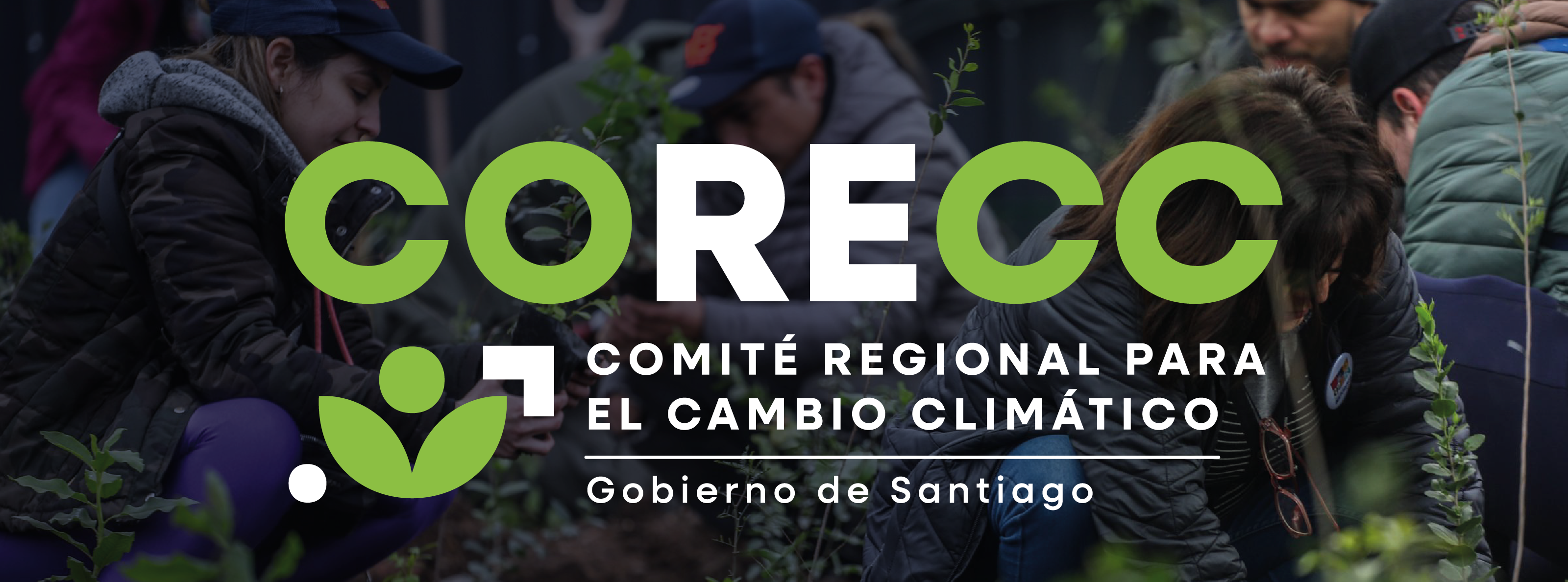 Comité Regional para el Cambio Climático