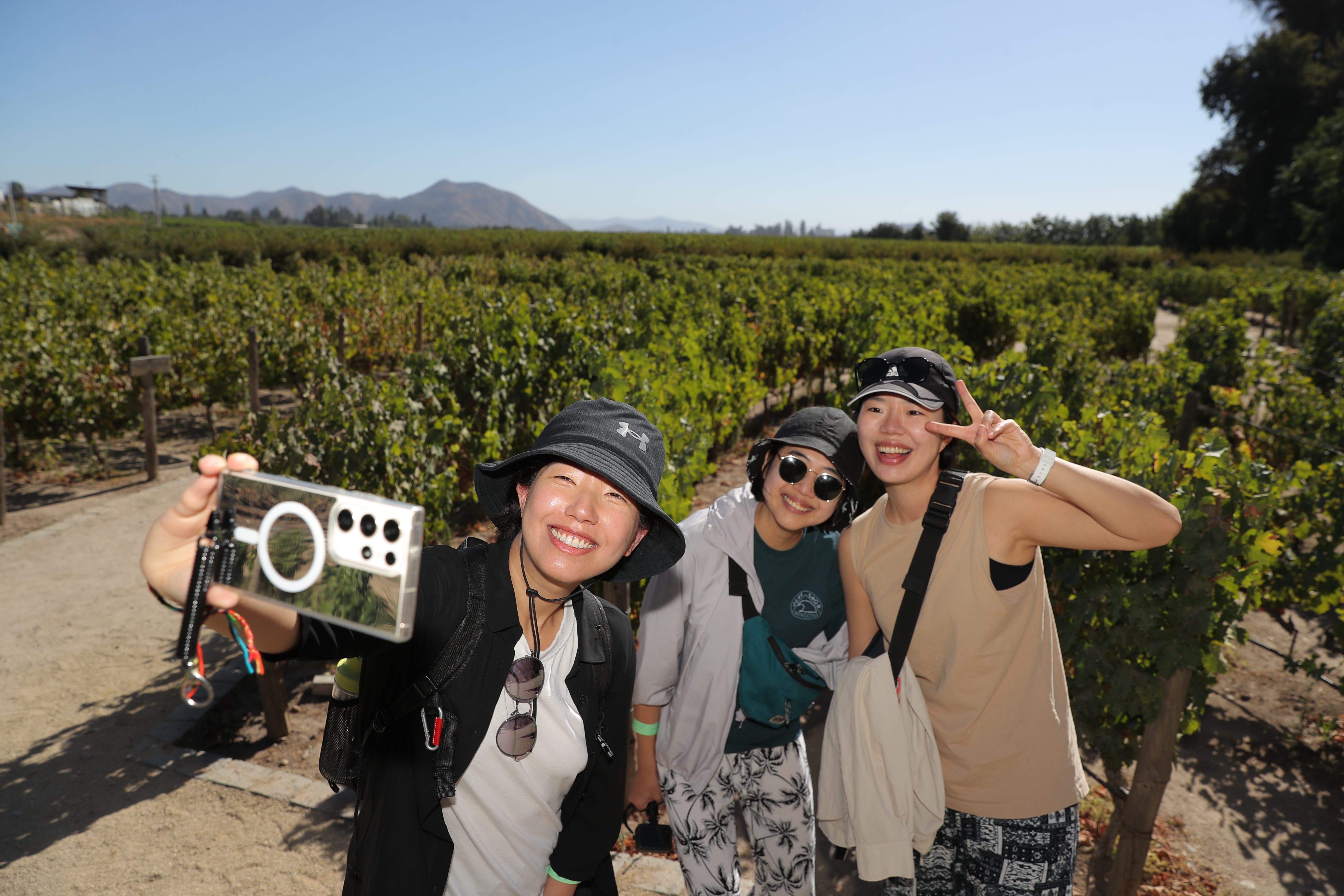 THE WORLD’S 50 BEST VINEYARDS