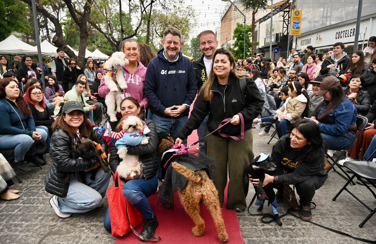 PERROS