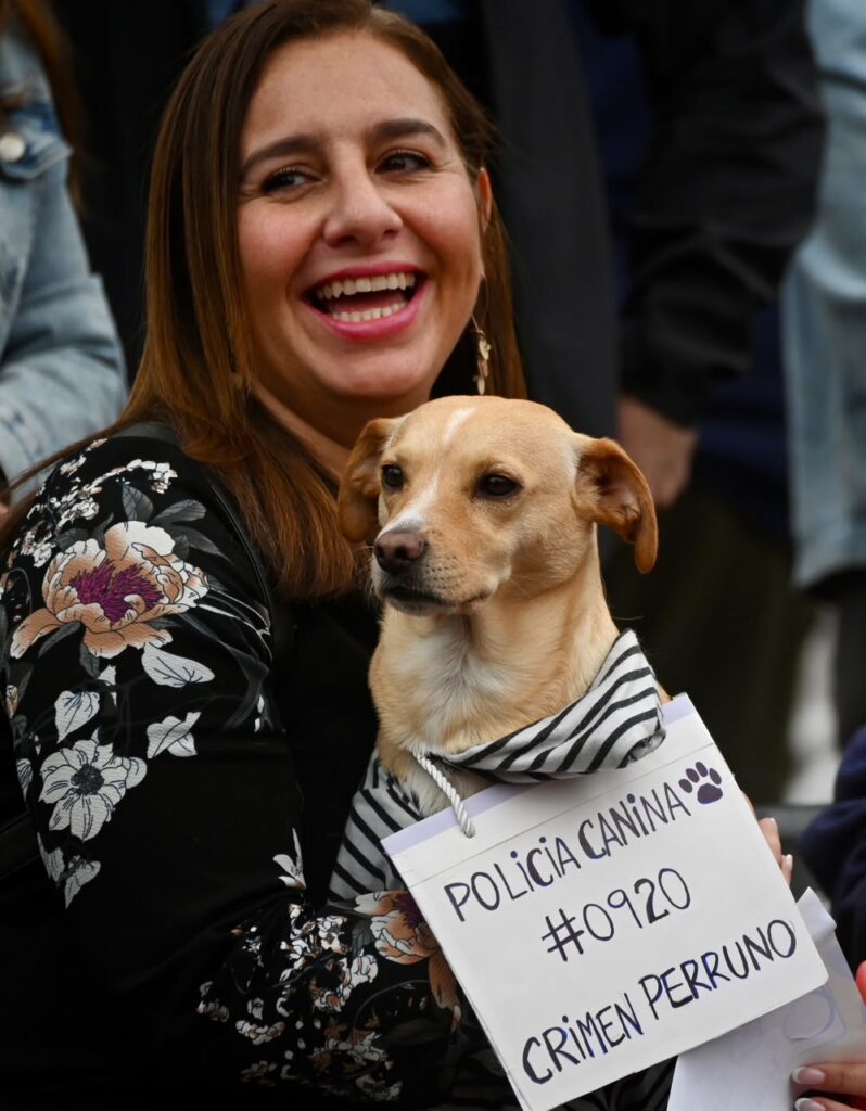 PERROS