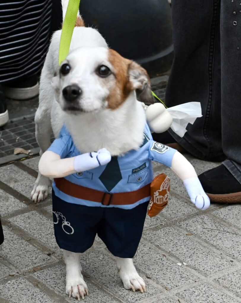PERROS